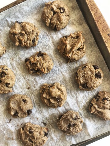 Flourless-Peanut-Butter-and-Chocolate-Chip-Cookies
