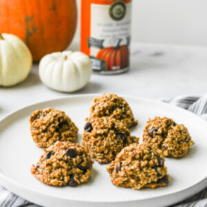 pumpkin chocolate chip oatmeal bites