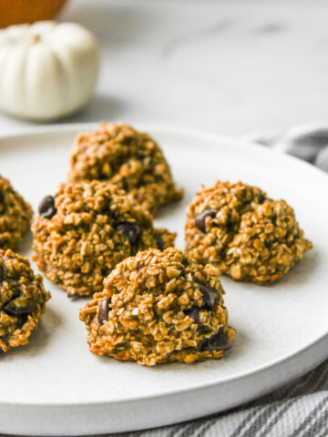 pumpkin chocolate chip oatmeal bites