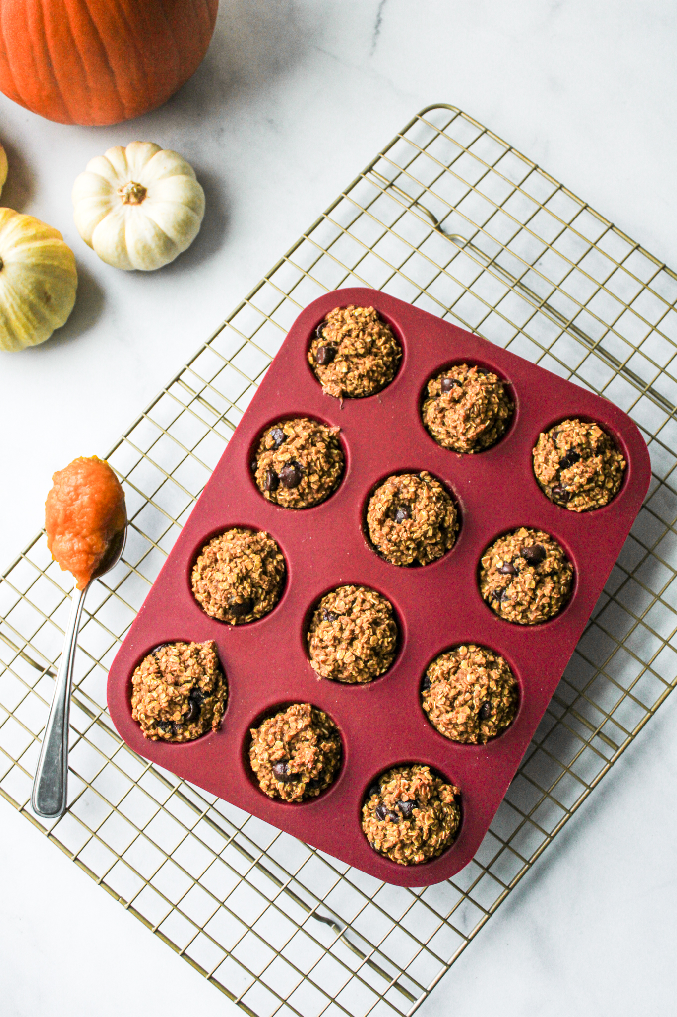 pumpkin chocolate chip oatmeal bites