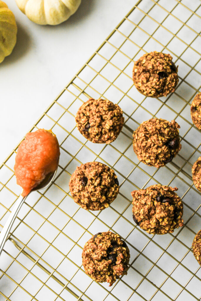 pumpkin chocolate chip oatmeal bites