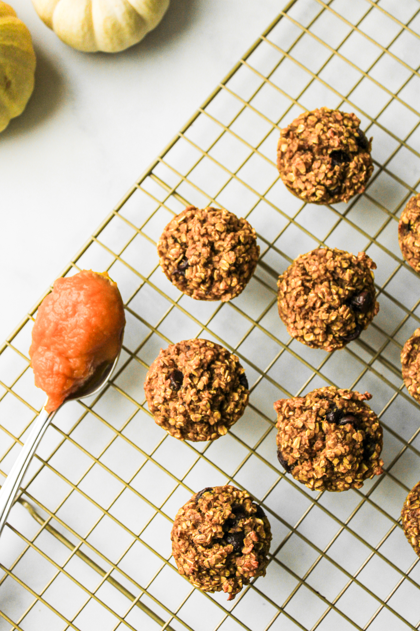 pumpkin chocolate chip oatmeal bites