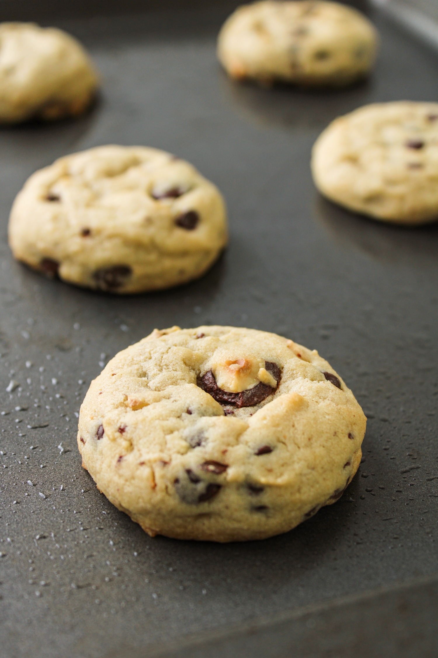 hazelnut chocolate chip cookies cooling on a dark grey baking sheet