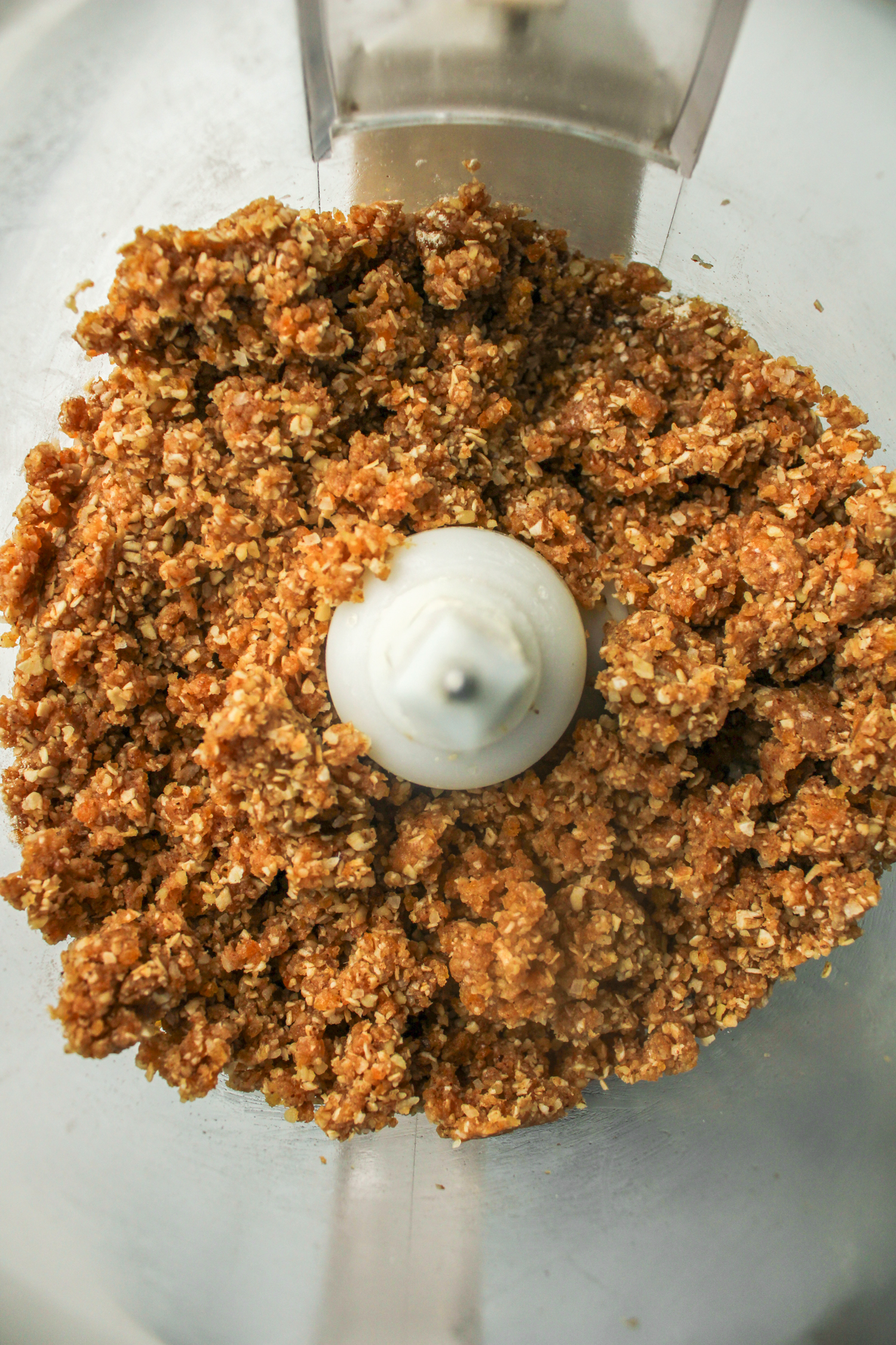 protein ball mixture combined in a food processor